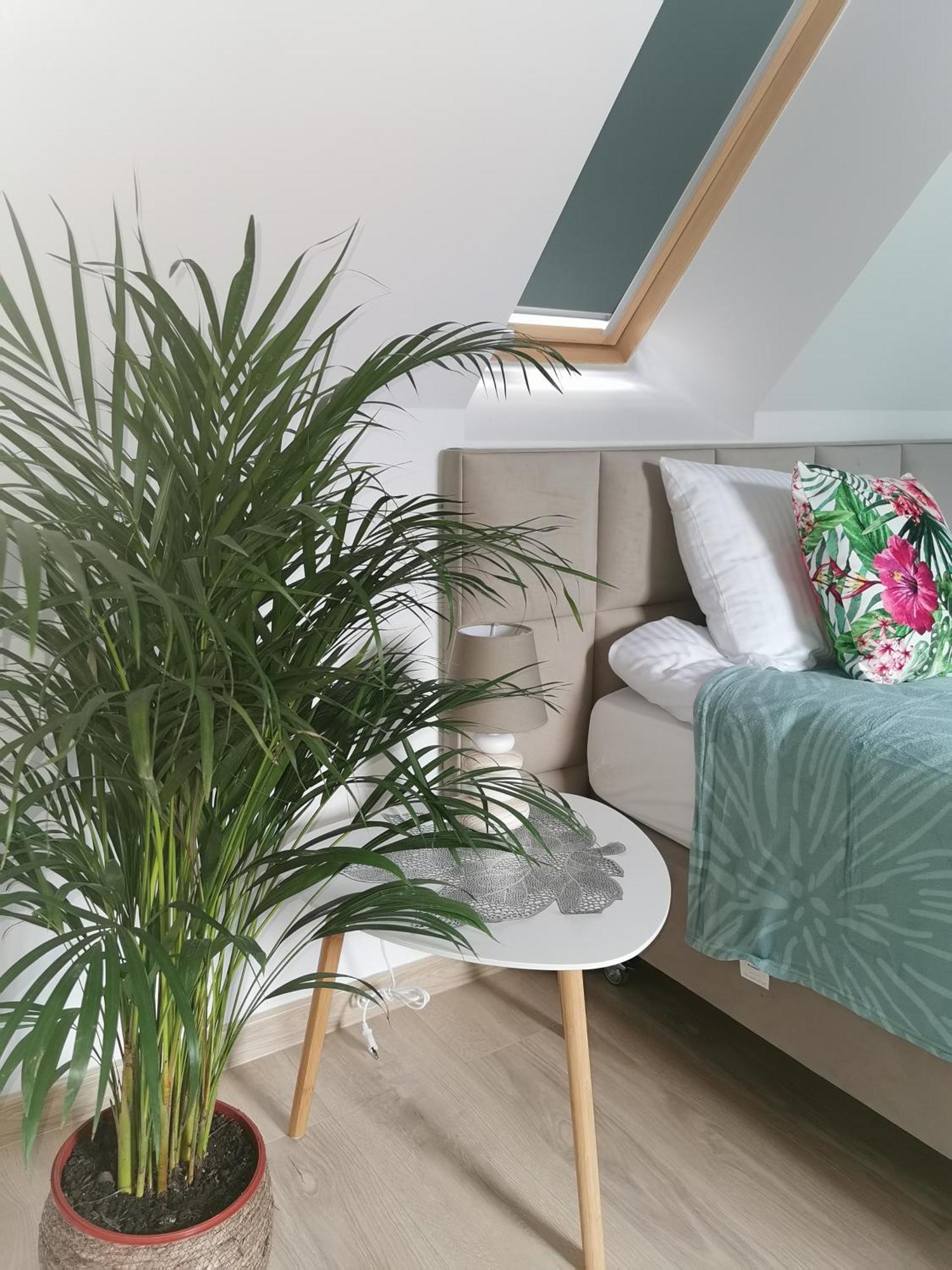 Apartment Under The Hill 3 *